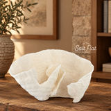 Cup Coral 10-12"