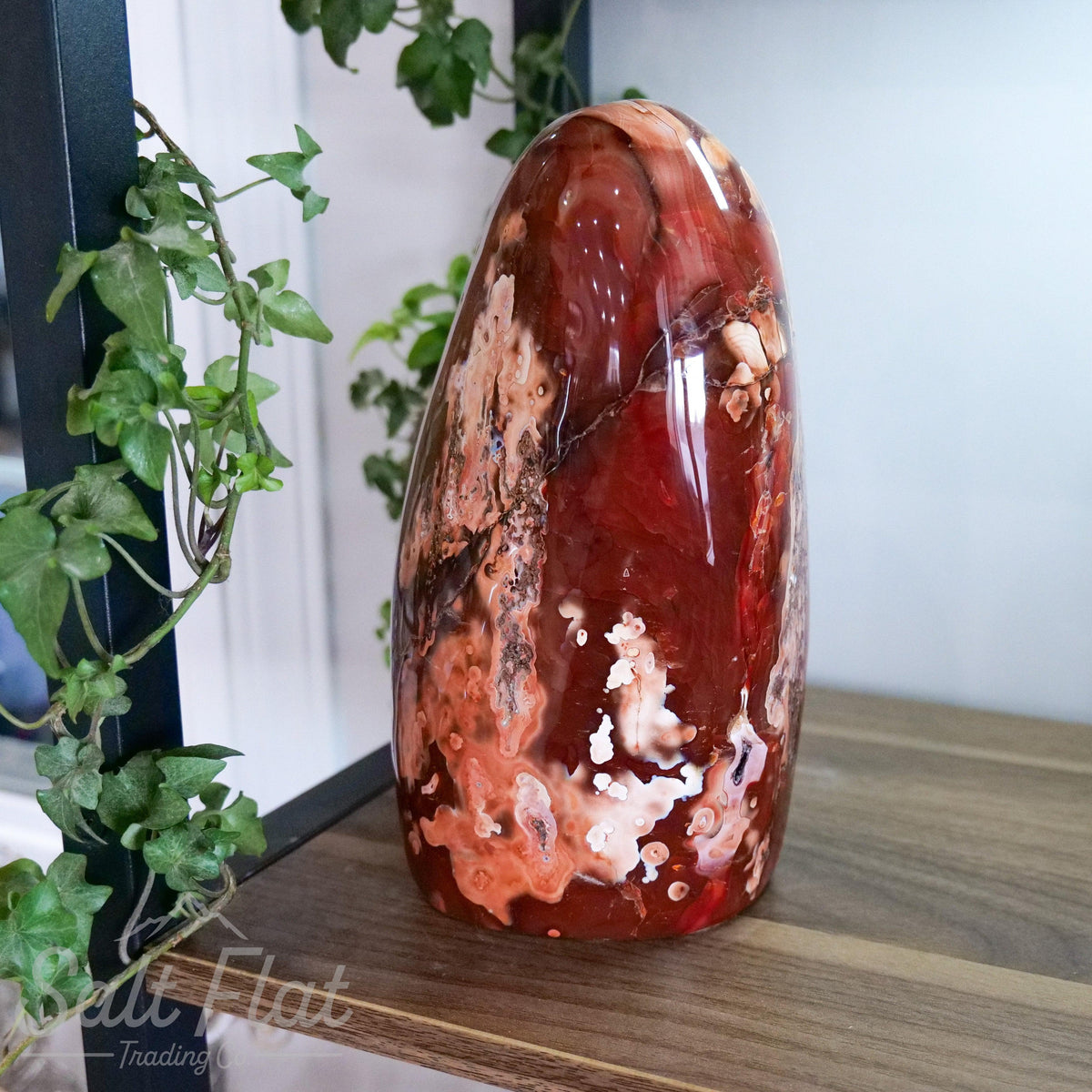 Carnelian Free Form