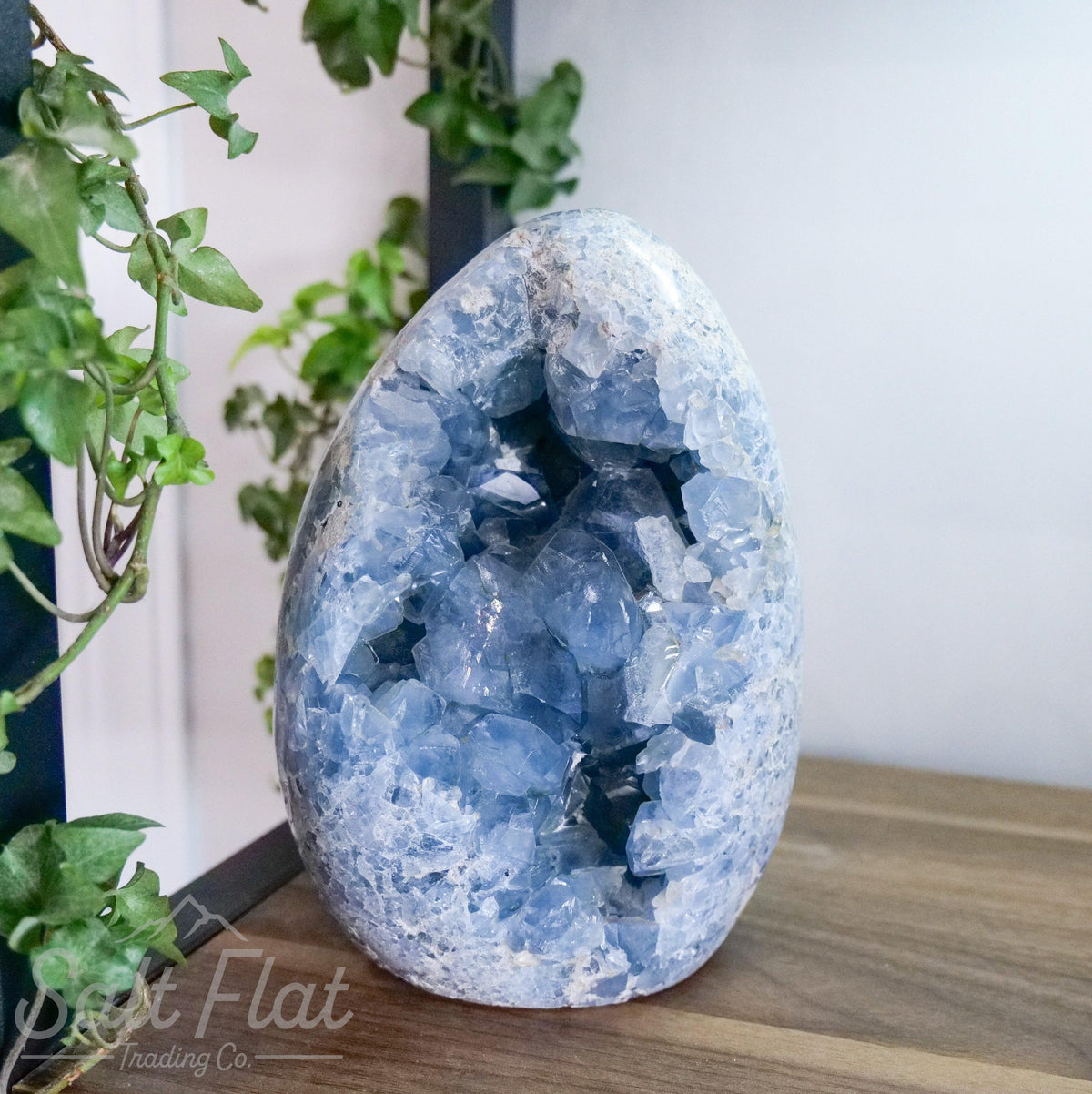 Celestite Free Form