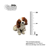 Little Critterz™ - Cats & Dogs
