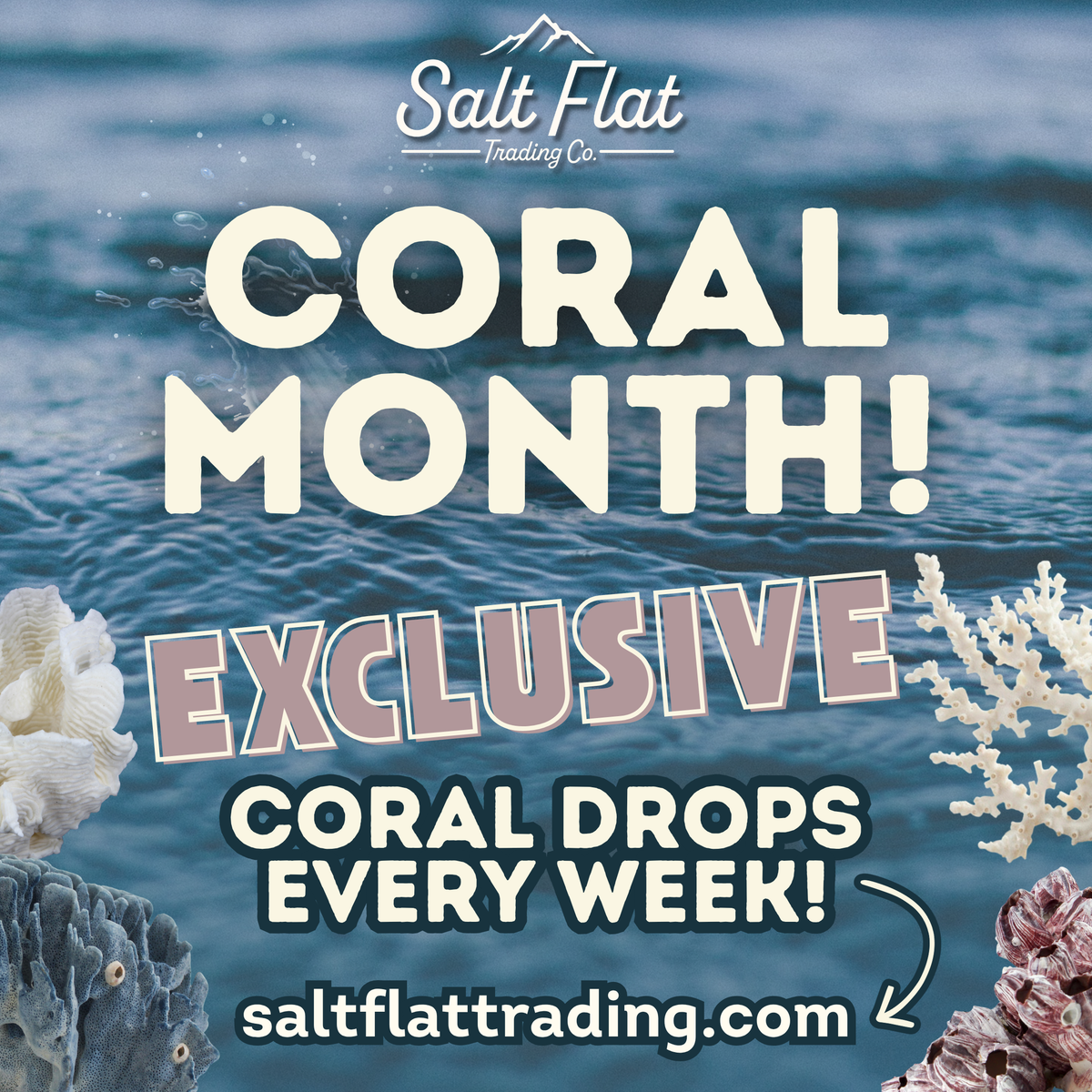Exclusive Coral Drops | Week 2