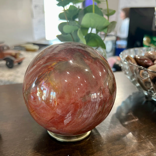 Petrified Wood Sphere