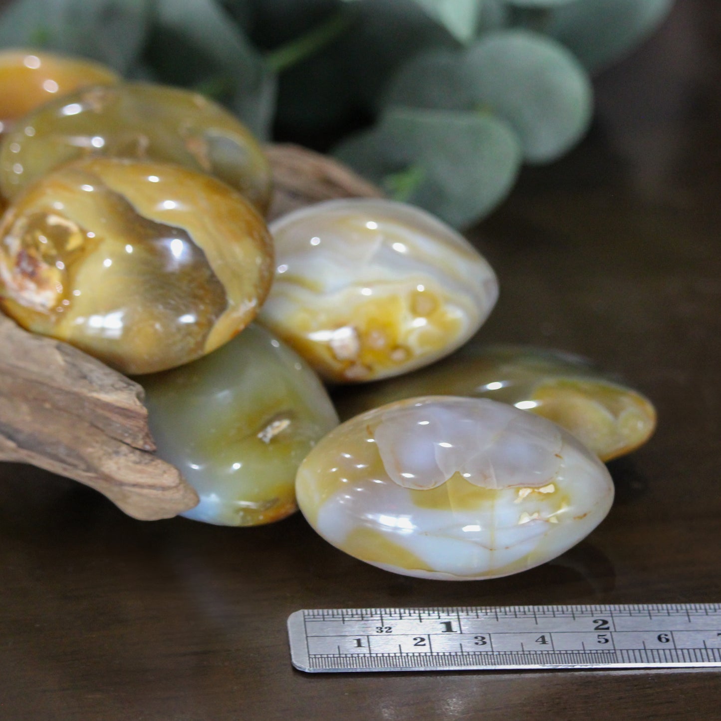 Madagascan Agate Palm Stone