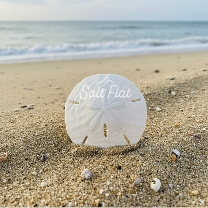 Florida Keyhole Sandollar