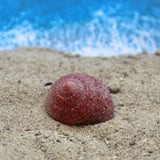 Strawberry Top 1-2cm