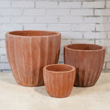 Sergio Planter