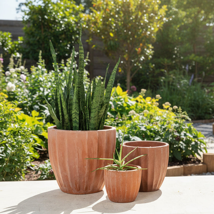 Sergio Planter