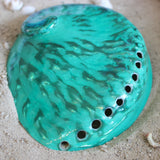 Midas Abalone Polished