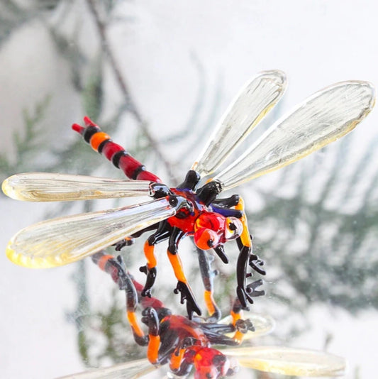 Glass Dragonfly