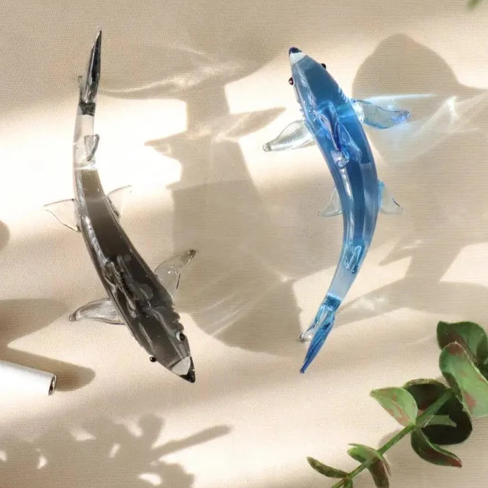 Glass Sharks