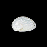 Oval Abalone 2-2.5"