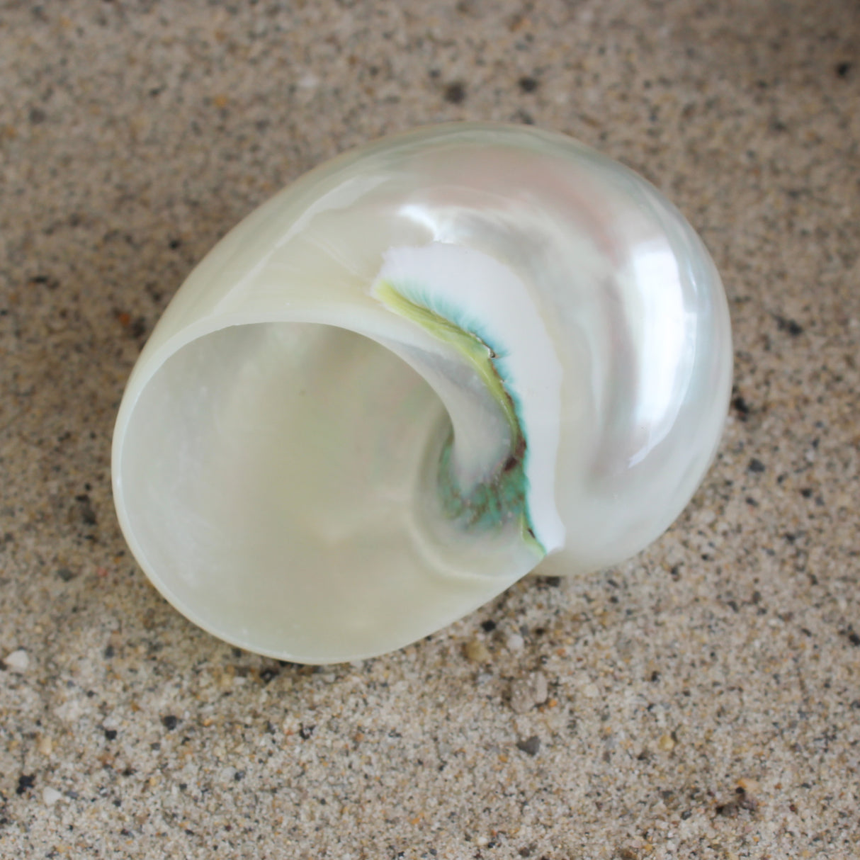 Polished Jade Turbo 2.5-3.5"