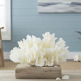 Lettuce Coral 12-14"