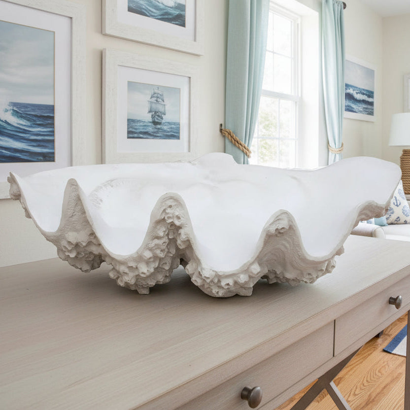 Large Clam with Barnacles