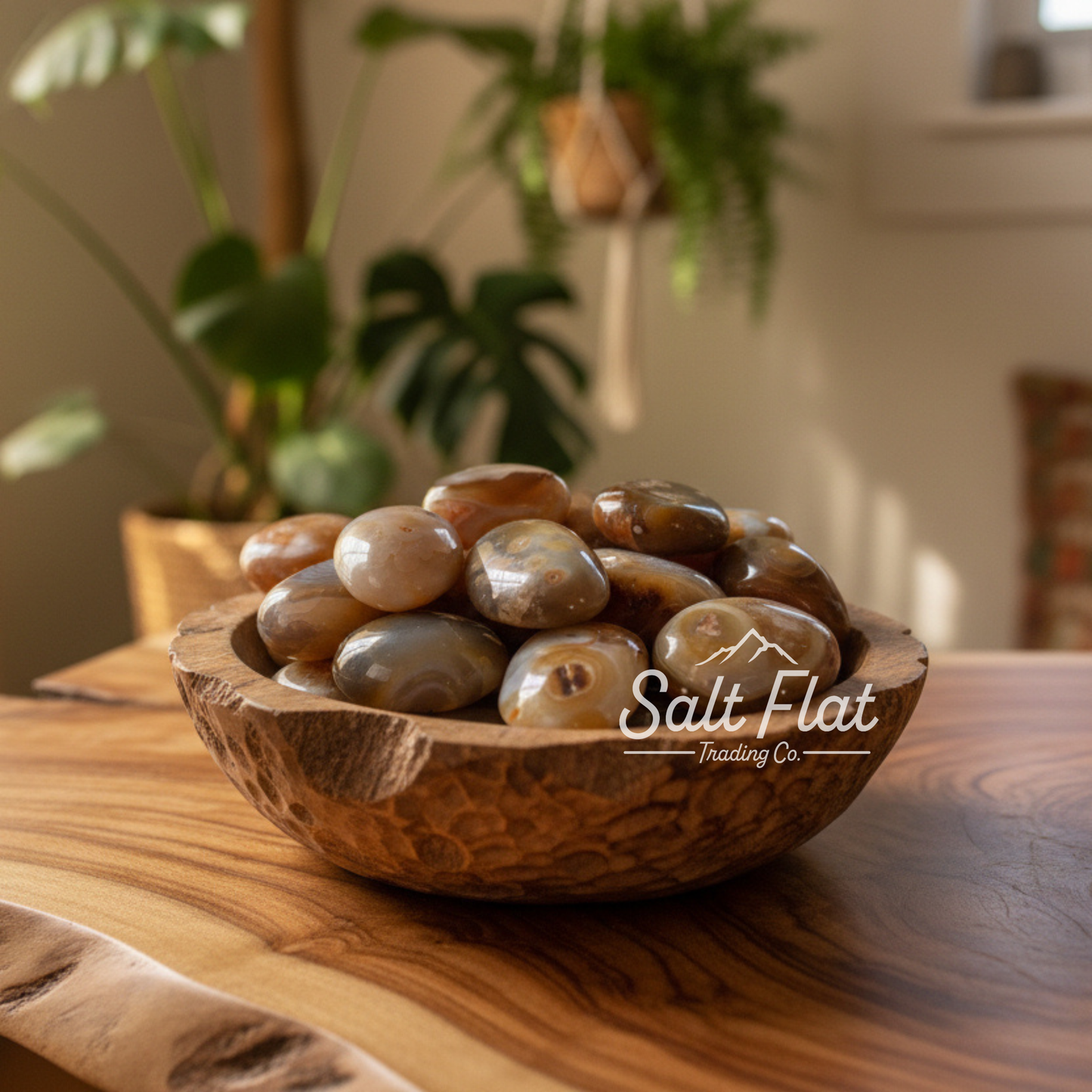 Madagascan Agate Palm Stone