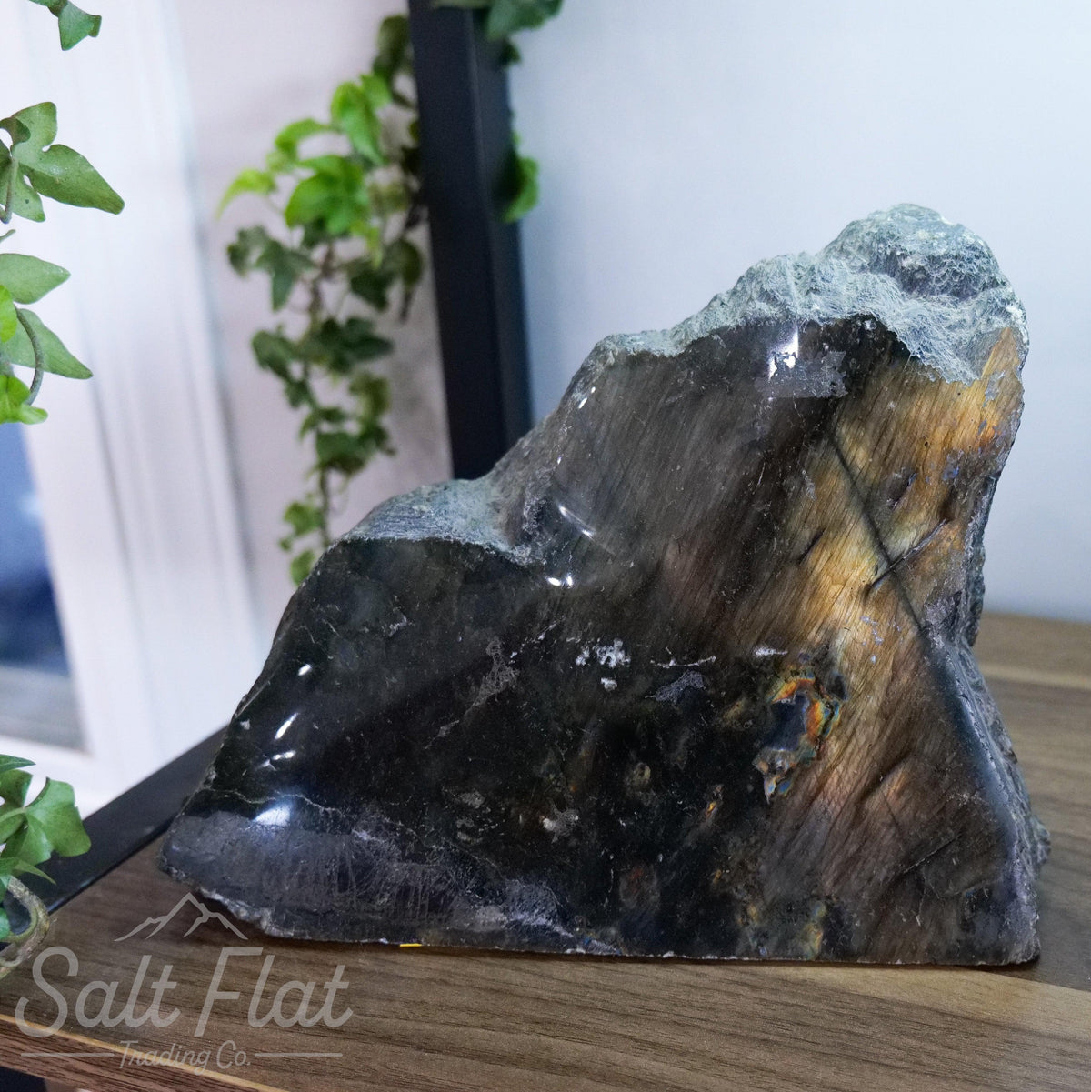 Madagascar Specralite 1-Side Polished