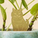 Plant Animals