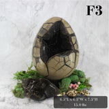 Peek-a-Boo Septarian Dragon Egg
