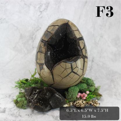 Peek-a-Boo Septarian Dragon Egg