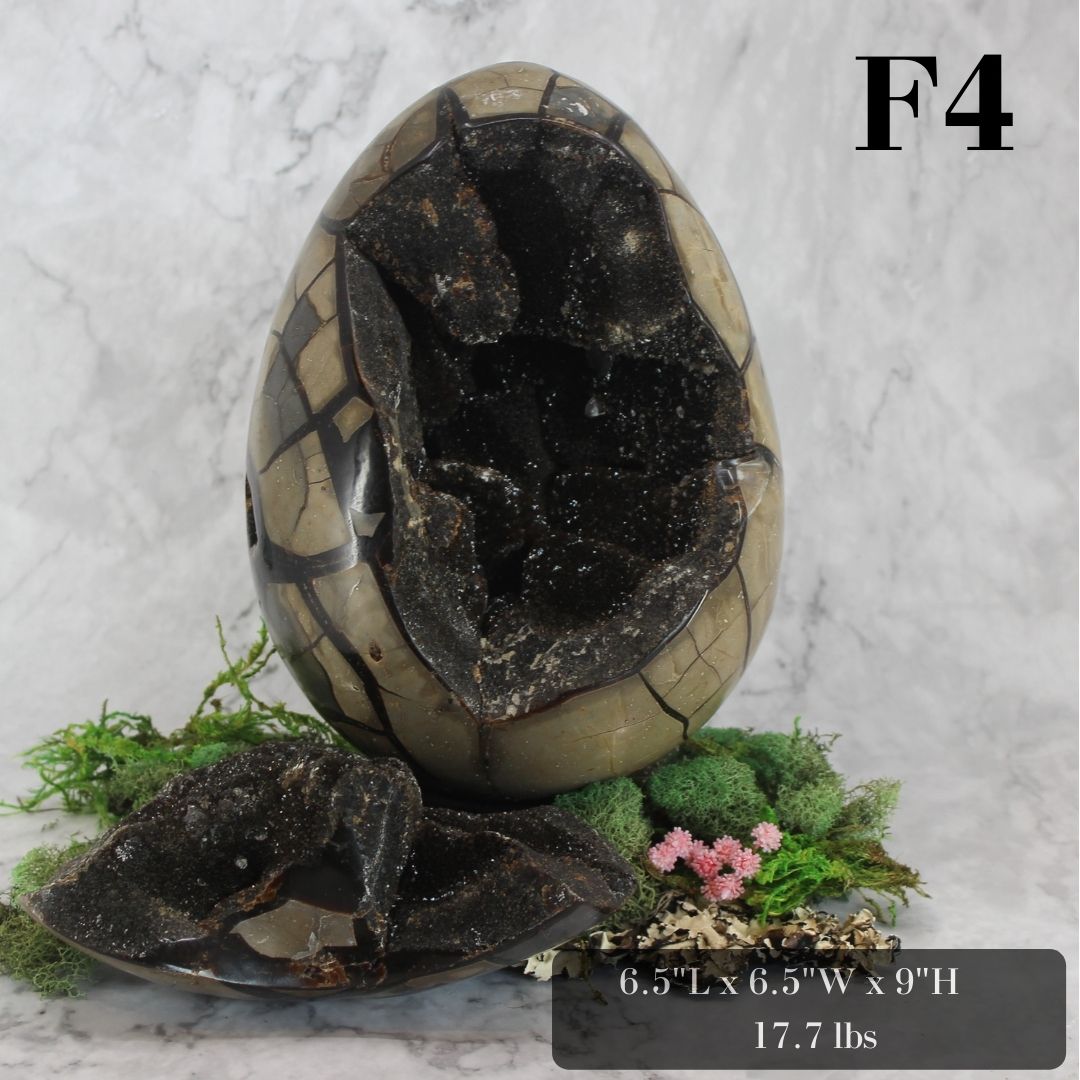 Peek-a-Boo Septarian Dragon Egg