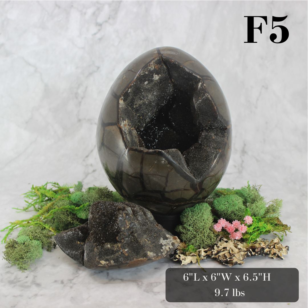 Peek-a-Boo Septarian Dragon Egg