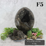 Peek-a-Boo Septarian Dragon Egg