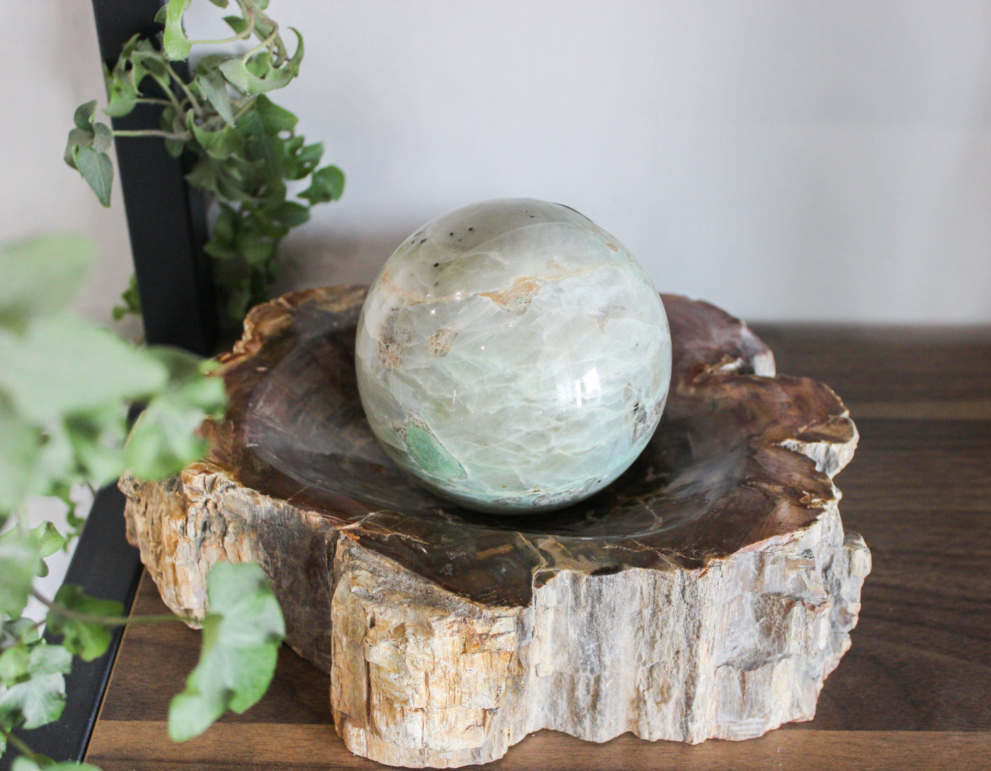 Petrified Wood Bowl 9-10"