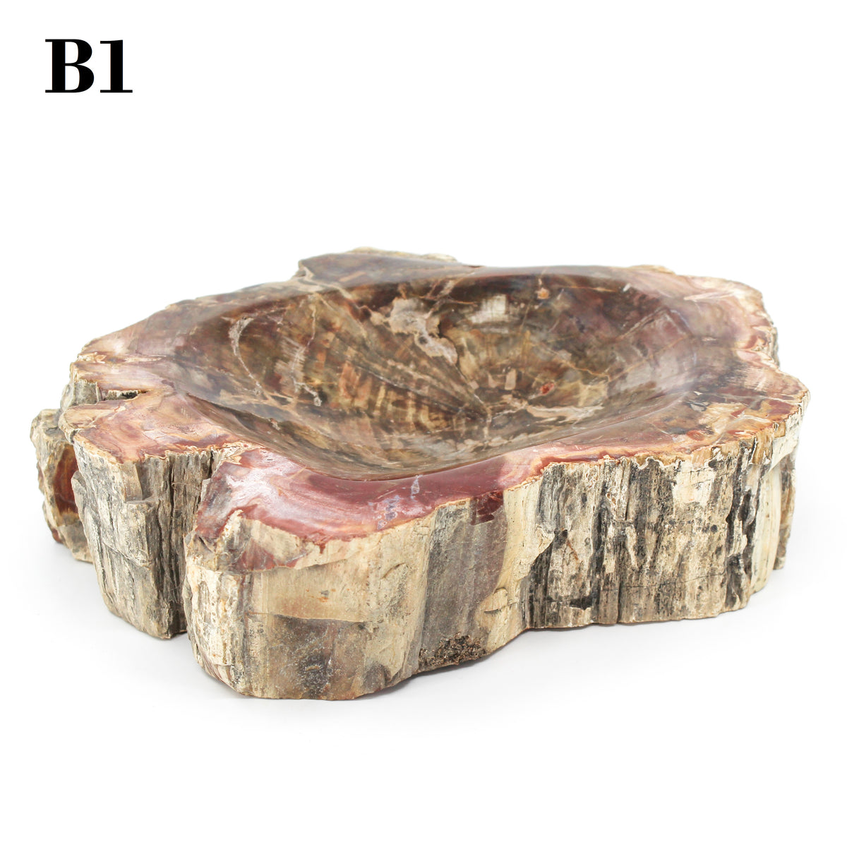 Petrified Wood Bowl 9-10"