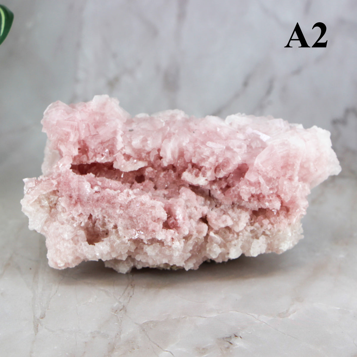 Pink Halite