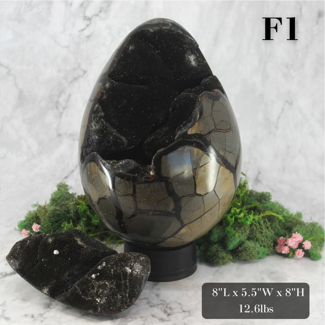 Peek-a-Boo Septarian Dragon Egg