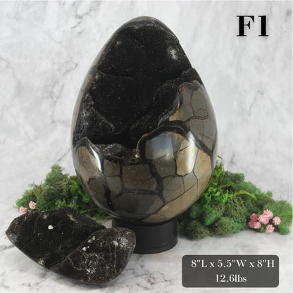 Peek-a-Boo Septarian Dragon Egg