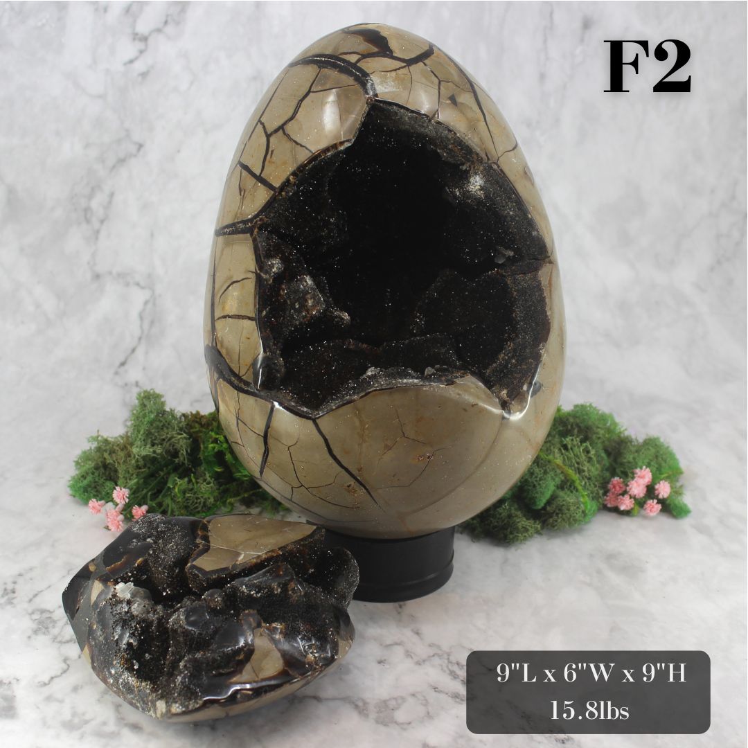 Peek-a-Boo Septarian Dragon Egg