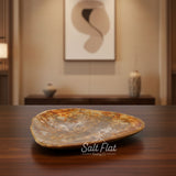 Petrified Wood Plates 7-10"