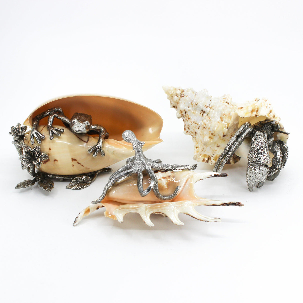 Pewter Shells