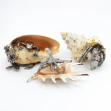 Pewter Shells