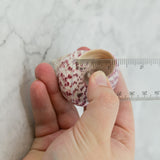 Strawberry Top 2-2.5"