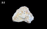 Sugar Geode 6-7"