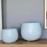 Fronda Planters