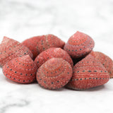 Strawberry Top 1-2cm