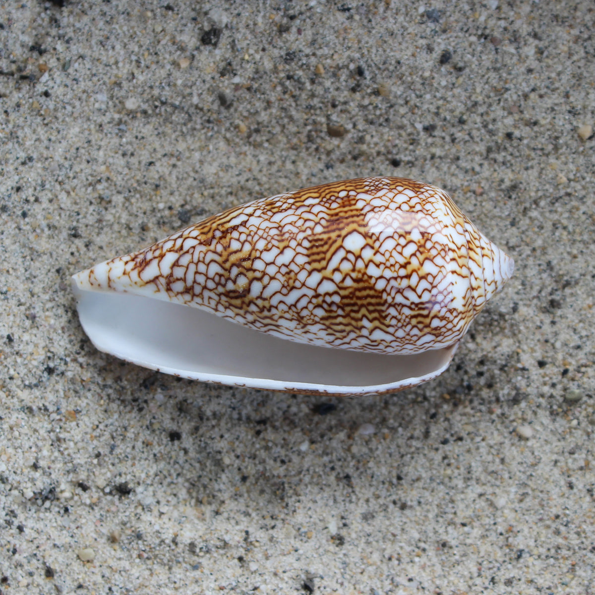 Textile Cone