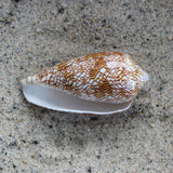 Textile Cone