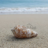 Textile Cone
