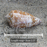 Textile Cone