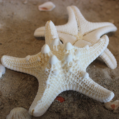 4-5" White Nobby Star