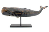 Black Sperm Whale Trophy
