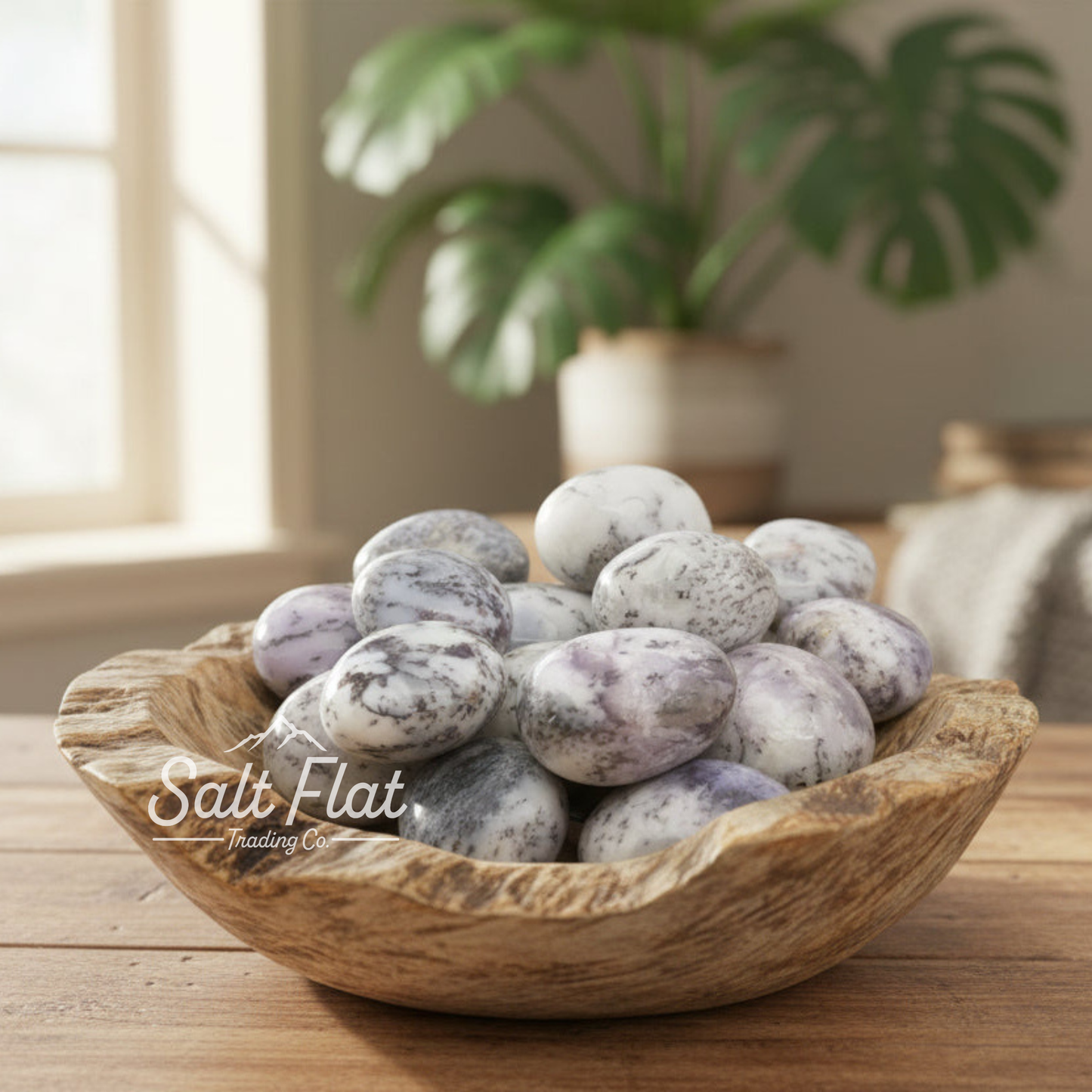 White Dendritic Agate Palm Stone