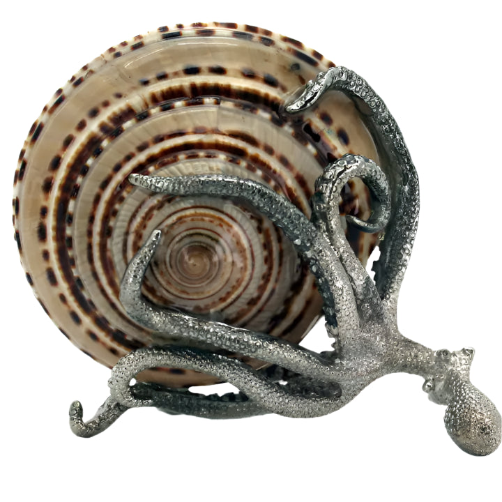 Sundial Pewter Octopus
