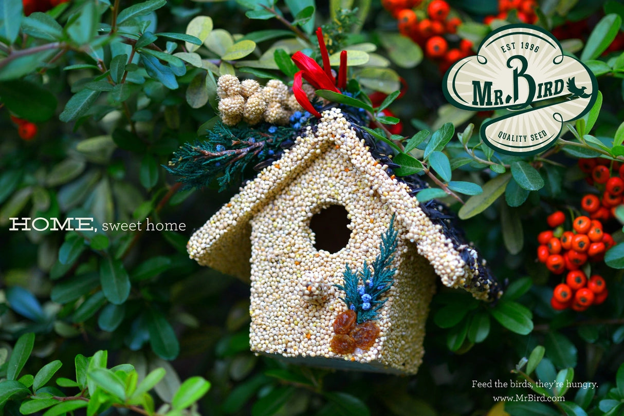 Mr. Bird Holiday Cottages