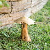 Tea Tree Root Mushrooms