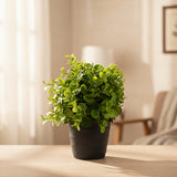 Artificial Plants